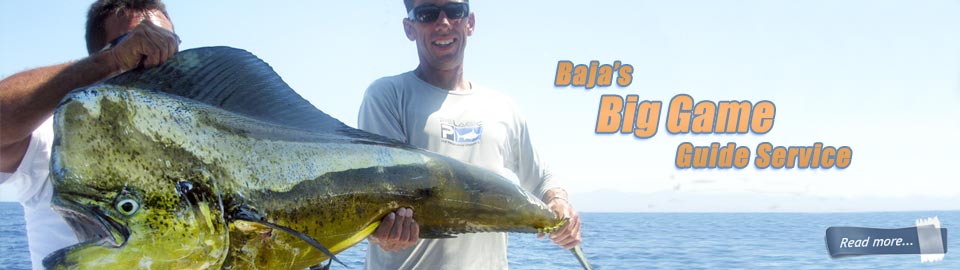 East Cape Guides Baja s Big Game Fishing Guide Service